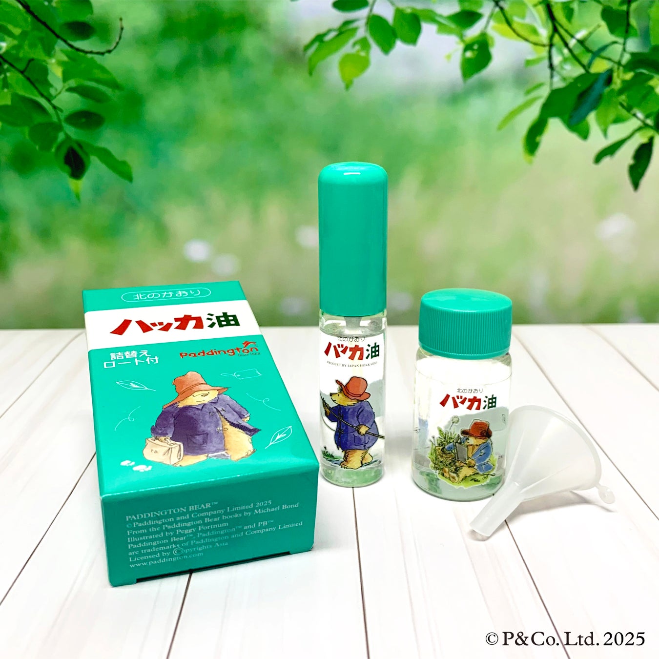 <?php echo get_the_title(); ?>